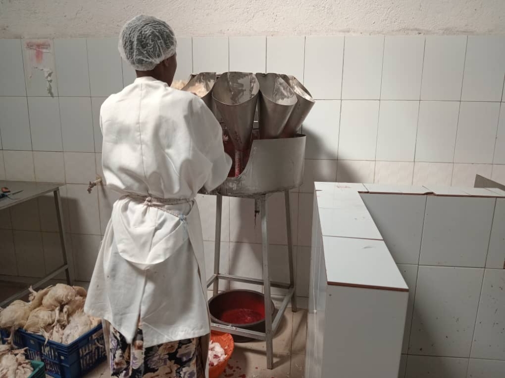 Inside a poultry slaughterhouse 