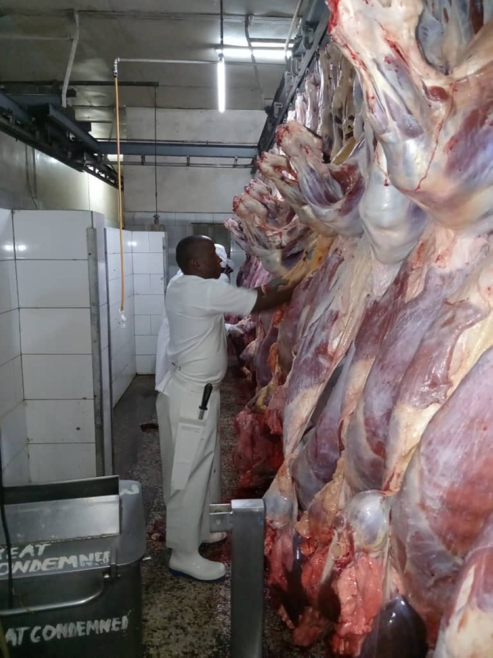 A meat inspection area