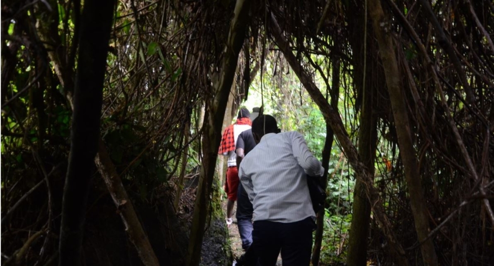 Local visitors during a guided tour of Buhanga Eco-Park in Musanze District. According to a new ministerial order, Buhanga forest is now part of Volcanoes National Park, Ngendahimana