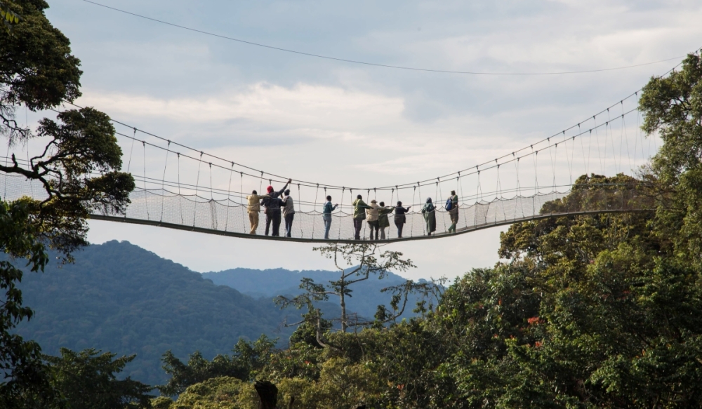 Visitors walk at the Canopy walkway that slides over the forest up to 60 meters high in Nyungwe Forest National Park. It is one of the oldest rainforests in Africa, rich in biodiversity, and spectacularly beautiful.  Sam Ngen