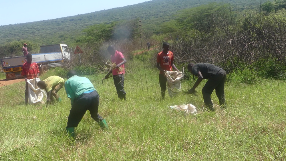 Rwanda Defence Forces and local authorities have opened sections of Gabiro Military Camp for cattle forage collection