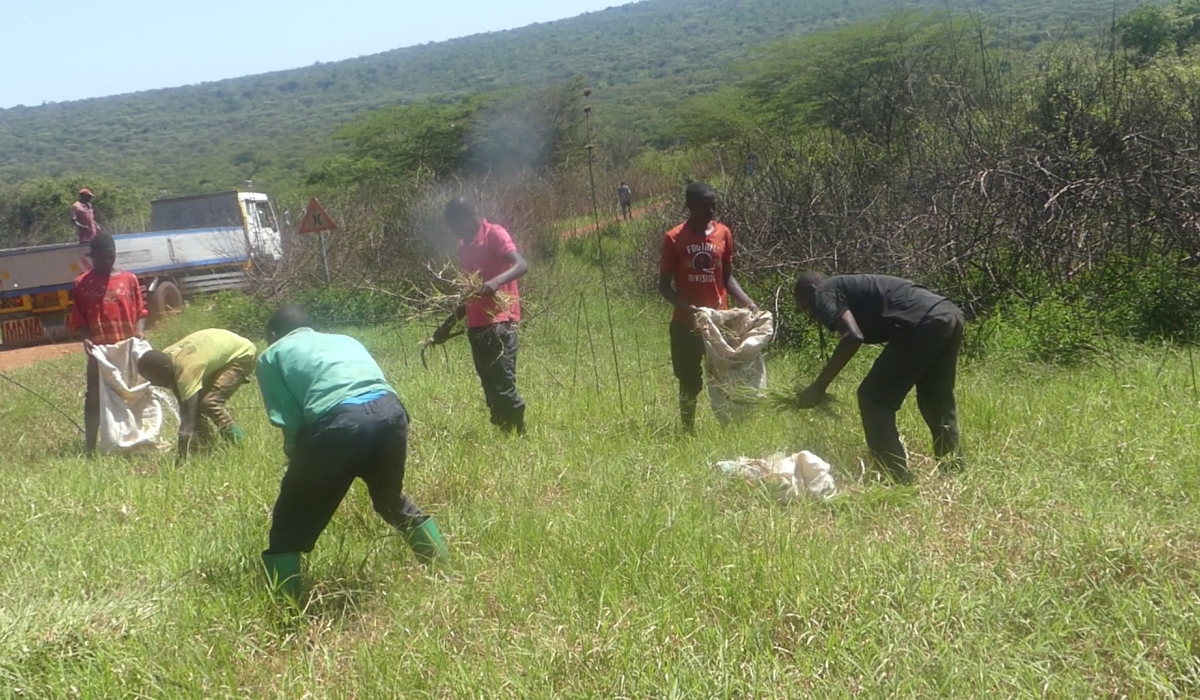 Rwanda Defence Forces and local authorities have opened sections of Gabiro Military Camp for cattle forage collection