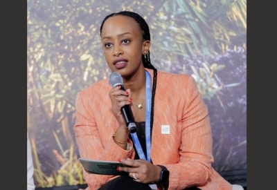 Teddy Mugabo, the CEO of Rwanda Green Fund, speaks during the 29th United Nations Climate Change Conference (COP29)  in Baku, Azerbaijan, on November 14, 2024.Photo Courtesy