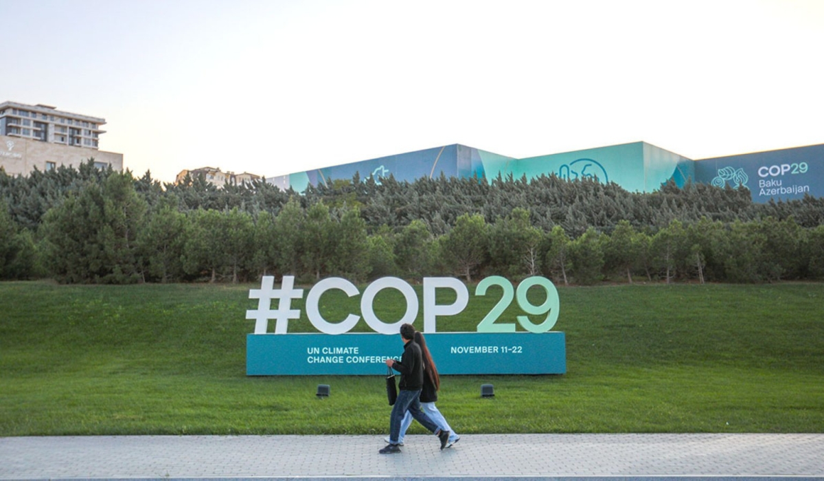 United Nations Climate Change Conference (COP29)