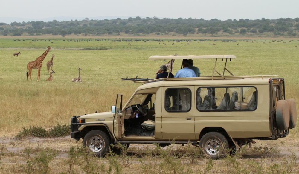 Tourists visit Akagera National Park. In Rwanda, every $1 million (approximately Rwf1.3 billion) invested in nature-based tourism creates 1,328 new jobs, both directly and indirectly.