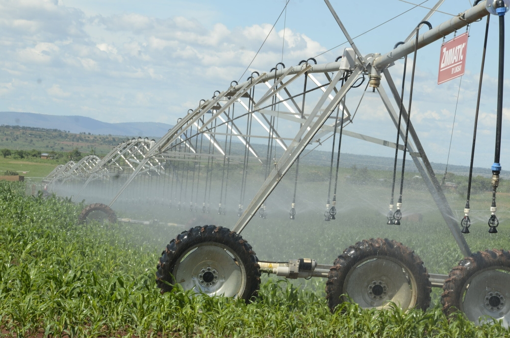 Nasho solar powered irrigation project in Eastern Province. Rwanda is set to increase the area irrigated by solar power from the current 646 hectares to 1,146 hectares by 2029 under NST2.