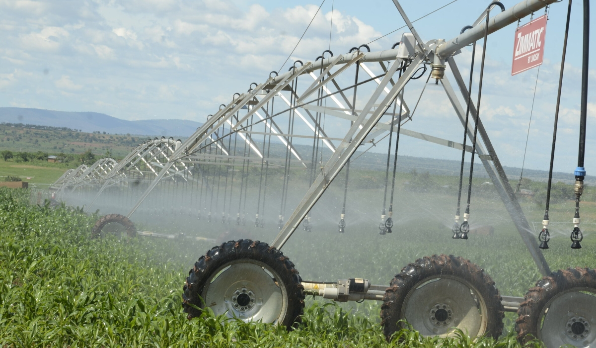 Nasho solar powered irrigation project in Eastern Province. Rwanda is set to increase the area irrigated by solar power from the current 646 hectares to 1,146 hectares by 2029 under NST2.