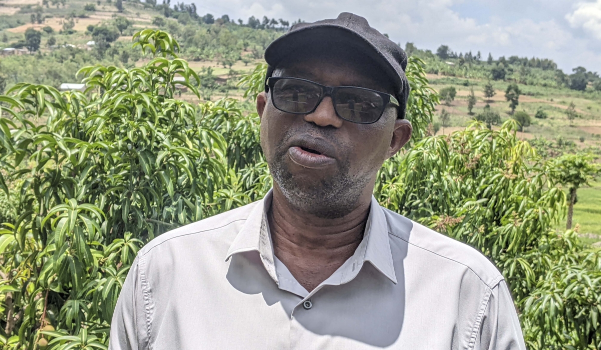 Prudence Sendarasi, the mango and avocado farmer speaks to journalists during a media tour in  Ntyazo Sector, Nyanza District. Photos by Germain Nsanzimana