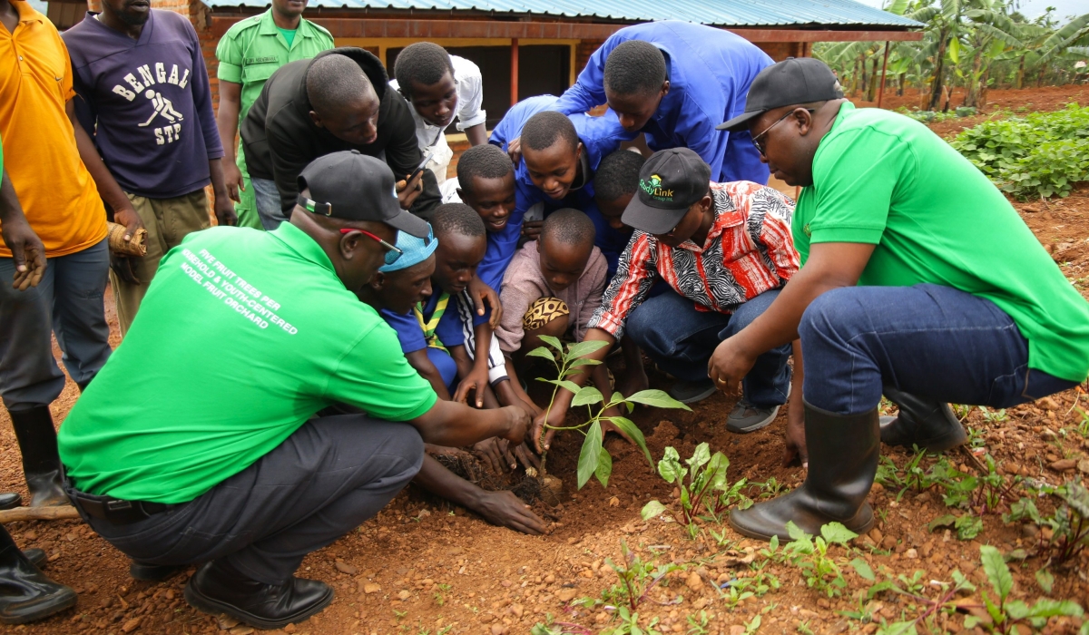 People plant trees during Umuganda in Kicukiro on November 30. Over 1000 fruit tree seedlings including avocado, mango, orange, citrus, and guyava were planted at  Ayabaraya,