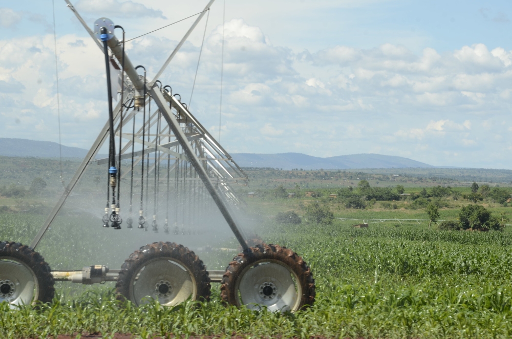 A view of  Nasho solar powered irrigation project in Eastern Province. Rwanda is set to increase the area irrigated by solar power from the current 646 hectares to 1,146 hectares by 2029 under NST2. File