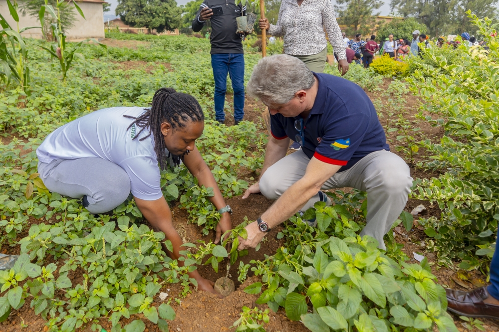 SKOL Brewery General Manager Eric Gilson plants a tree during the ongoing One Shot One Tree campaign. Courtesy