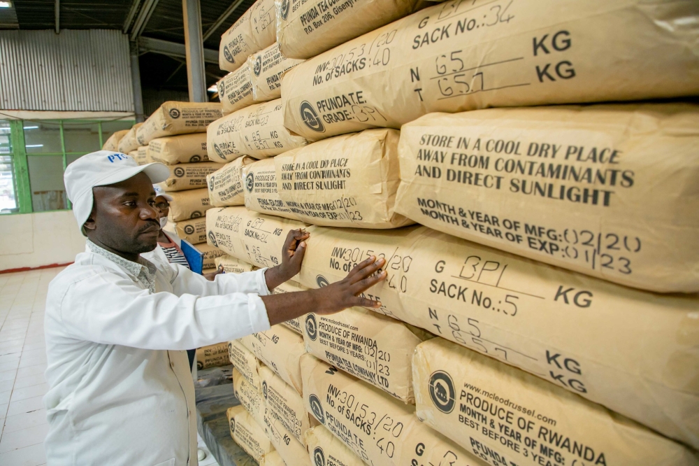 Worker counts packages for export at Pfunda Tea Company. Rwanda generated $114.8 million from tea exports in 2023-2024. Craish Bahizi