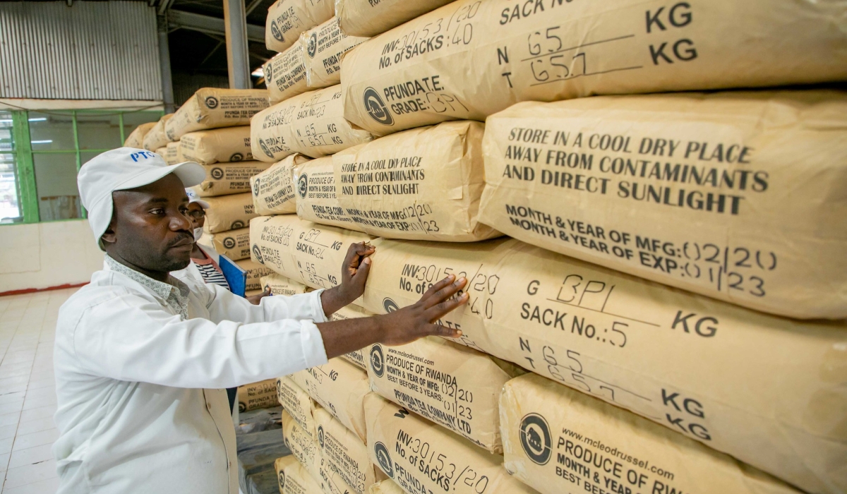 Worker counts packages for export at Pfunda Tea Company. Rwanda generated $114.8 million from tea exports in 2023-2024. Craish Bahizi