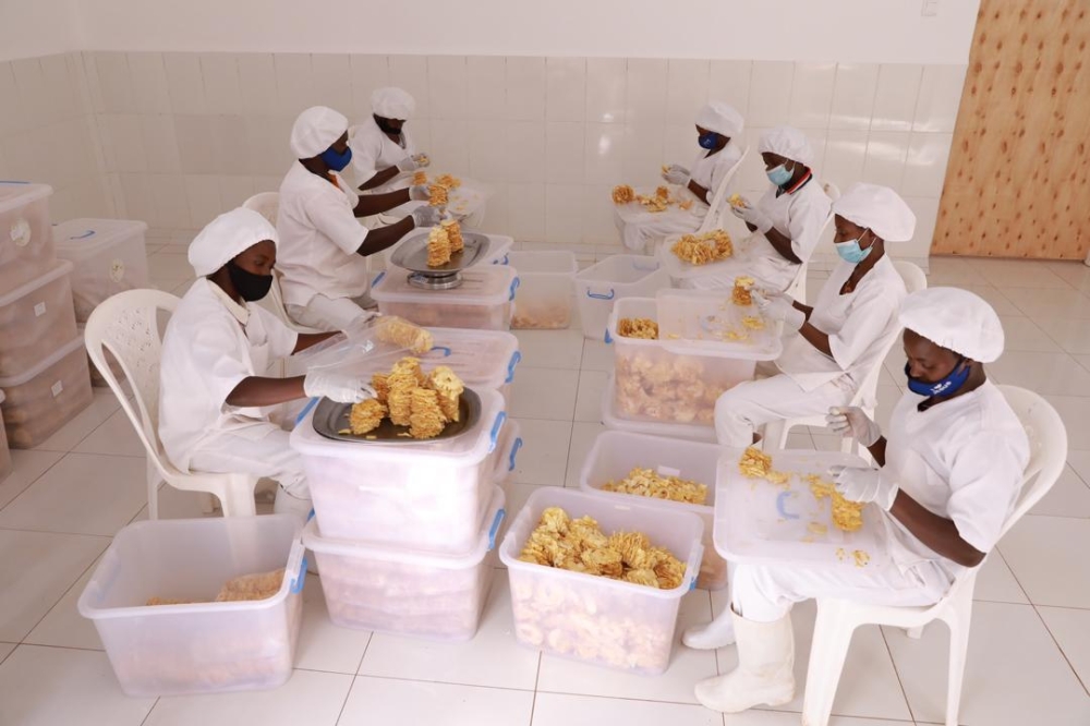 Workers sort dry pineapple at one of SMEs financed by BDF in Ngoma. The government is set to disburse Rwf30 billion to small businesses, primarily targeting women and youth. File