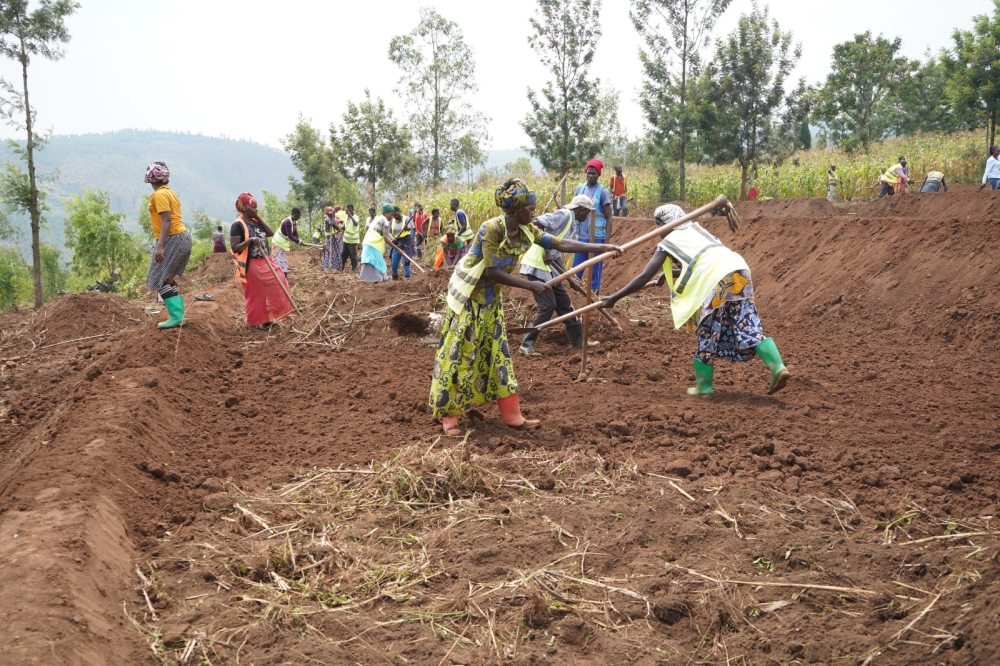 Workers in the terraces earn Rwf 2,000 daily making it possible for them to save their earnings and improve their livelihoods