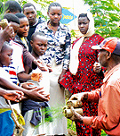 An elderly man in Nyarugenge District distributes tree seedlings to students to help make the district more beautiful by planting trees last week. (Photo/Robert Nzeyimana)