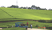 The Rwanda Tea Authority hired a tea expert to help improve marketing and promotion at estates such as this one in Gisovu.