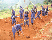 VALUABLE Some of the prisoners serving communal work under TIG. (File/ photo)