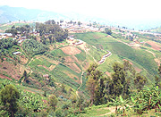 Birds view of Kiziba refugee camp. (Photo / J. Pollonais).