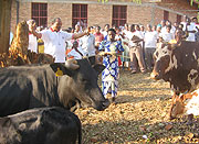 Archbishop Emmanuel Kolini presents cows to Bugesera PWLAs (Courtsey Photo)