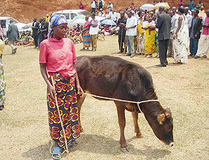 Clu00e9mentine Niyitegeka with her cow given under the GIRINKA programme in Nyaruguru district. (Photo: P. Ntambara)