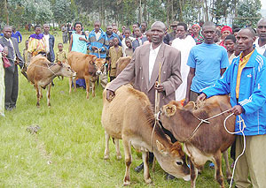 Residents decided on the next beneficiaries of the heifers.(Photo: B. Mukombozi)