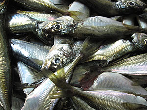 Fish ready for sale in a local market (File photo)