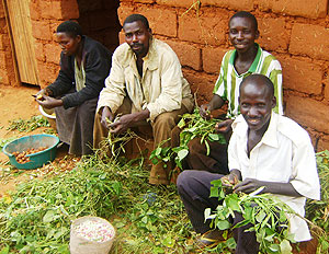 Husband and in laws help a wife to sort out beans as she peels off irish potatoes for cooking.