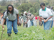 City Mayor Aisa Kirabo  and State Minister Christine Nyatanyi lead residents through Umuganda. The exercise was one of the initiatives for which Rwanda was honoured to host WED. (File Photo