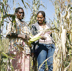 A Farmer in the company of an extension officer  inspecting a  maize field in Mahama sector. 