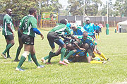 Silverbacks during a regional tournament last year. (File photo)