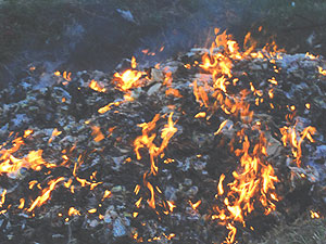 Bundles of illicit drugs that were destroyed in Gatunda sector. (Photo D.Ngabonziza)