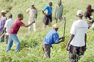 Umuganda is one of the many efforts  towards rebuilding Rwandau2019s communities. (File Photo)