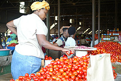 Farmers will benefit from the rural investment facility (File Photo)