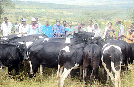 With smiles. Beneficiaries receiving their cows. (Photo: D. Ngabonziza)