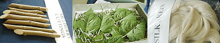 L-R : Mulberry cuttings ; Silk worms feeding on milberry leaves ; Silk yarns produced from coccons ; Silk yarns produced from coccons (File photo)