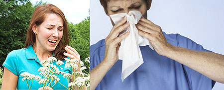 L-R : Potential allergens enter the body most commonly through inhalation  ; Allergic Rhinitis symptoms include sneezing, running of nose or nasal catarrah and blocked nose(Internet Photo)