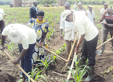 Minister Kalibata(R) joining residents in maize weeding excercise. (Photo: D Ngabonziza)