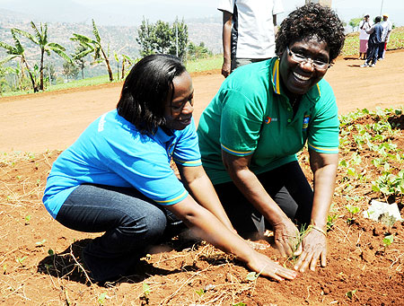 Minister Monique Nsanzabaganwa and Malawian Minister of Industry and Trade,Eunice Kazembe, planting trees during community work yesterday in Kagarama Sector, Kicukiro District (Photo T.Kisambira)