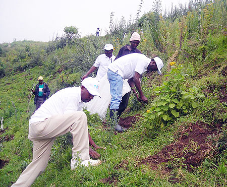 Nyabihu residents joined by representatives of different projects in a past tree planting exercise in Gishwati.