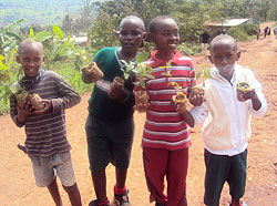 Children led the tree planting exercise in Rwamagana and Ngoma districts. 