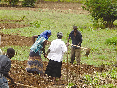 Rural farmers boosted.