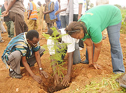 The Vice Mayor in charge of Social Affairs, Jeanne d`Arc Gakuba (in green) with residents of Kinyinya Sector, taking part in tree planting excercise (Photo G.Mugoya)