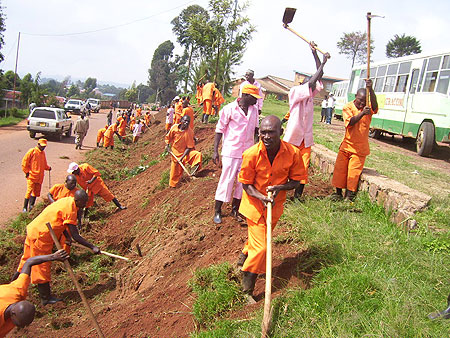 Miyove inmates clearing a bush along Byumba-Gicumbi stadium road yesterday (Photo; A. Gahene)