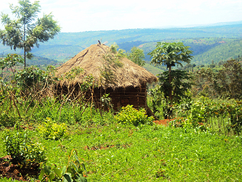 A grass thached house in rural Kirehe district is one of the thousands that are to be eradicated.