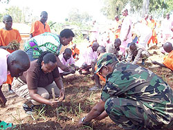 Inmates and district officials during the grass planting excercise (Photo D.Sabiiti)