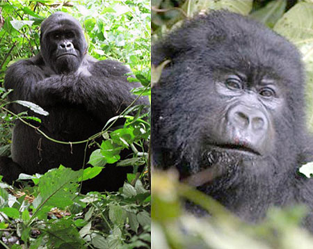 L-R : Bukima monitoring our work ; Noel looking better.