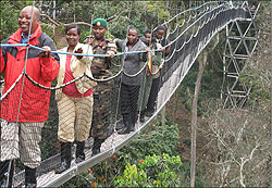 The canopy walk that was launched last year has boosted tourism revenue (File photo)