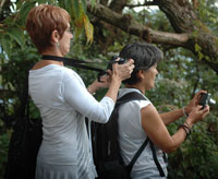 Tourists in Nyungwe Forest take pictures. Regional countries a mooting a single tourists visa (File Photo)