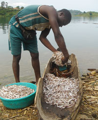 Environmental effects of activities on water bodies such as Lake Kivu and other natural resources will be discussed (File photo)